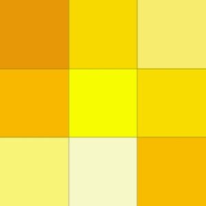 Meet your Posher, Jose